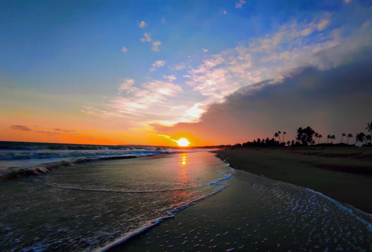 Sleeping Elephant Beach Resort 탕갈레 외부 사진