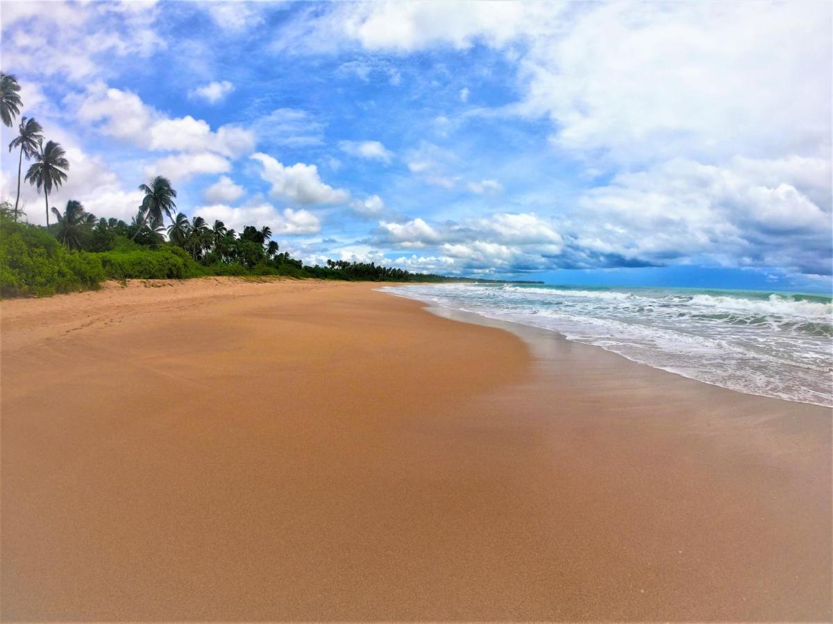 Sleeping Elephant Beach Resort 탕갈레 외부 사진