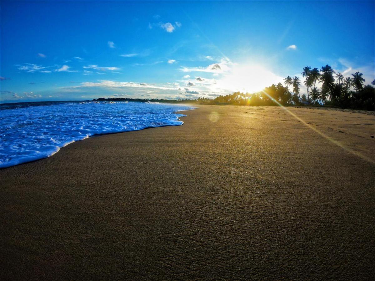 Sleeping Elephant Beach Resort 탕갈레 외부 사진