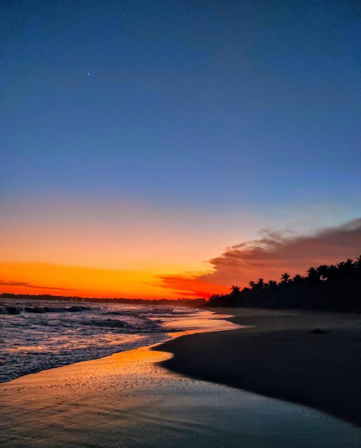 Sleeping Elephant Beach Resort 탕갈레 외부 사진