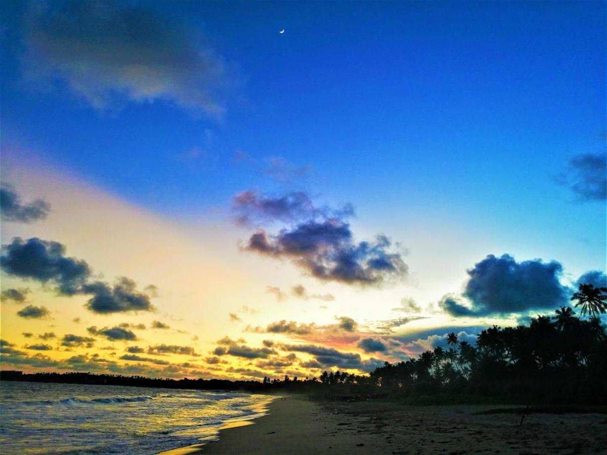 Sleeping Elephant Beach Resort 탕갈레 외부 사진