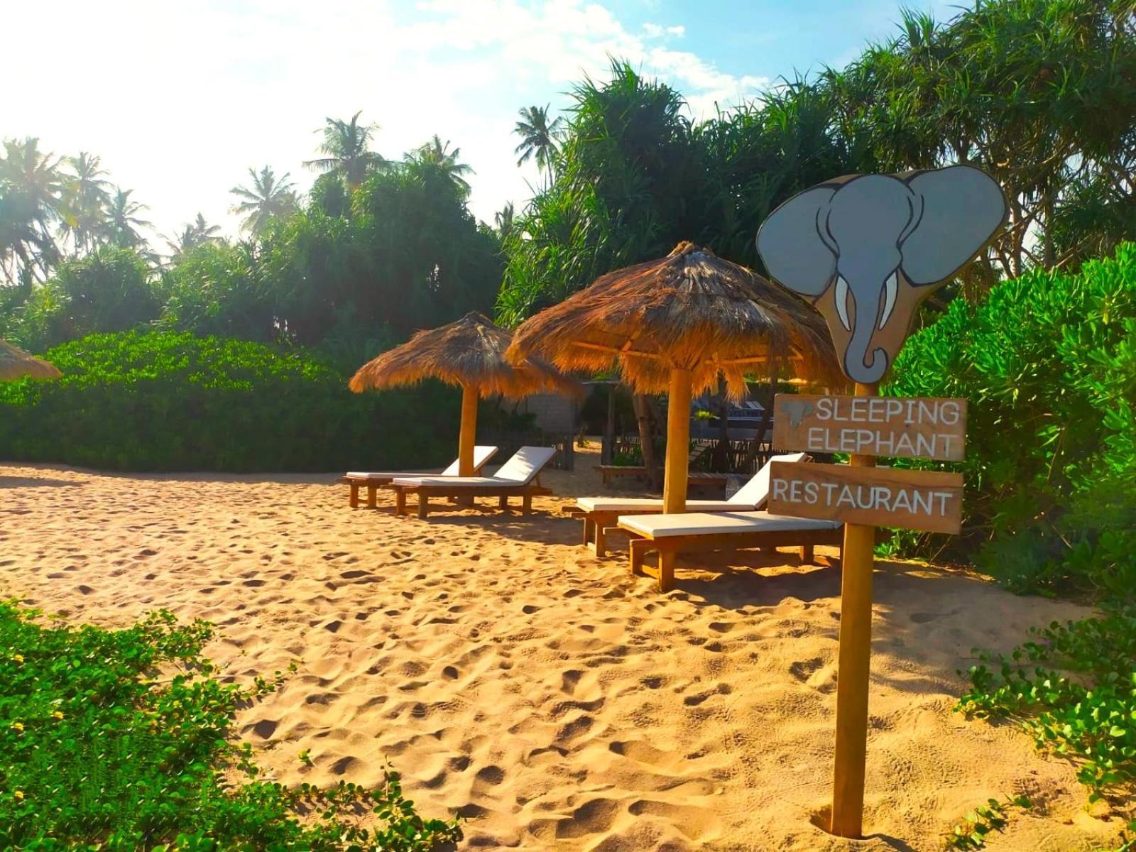 Sleeping Elephant Beach Resort 탕갈레 외부 사진