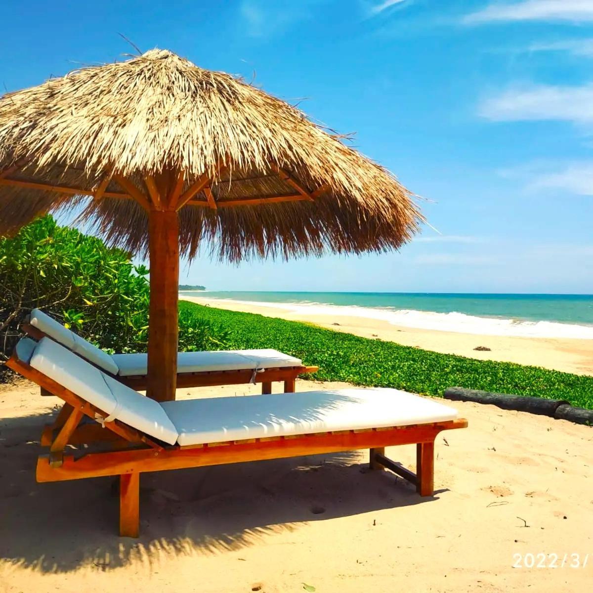 Sleeping Elephant Beach Resort 탕갈레 외부 사진