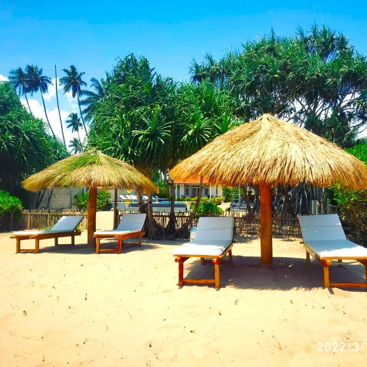 Sleeping Elephant Beach Resort 탕갈레 외부 사진