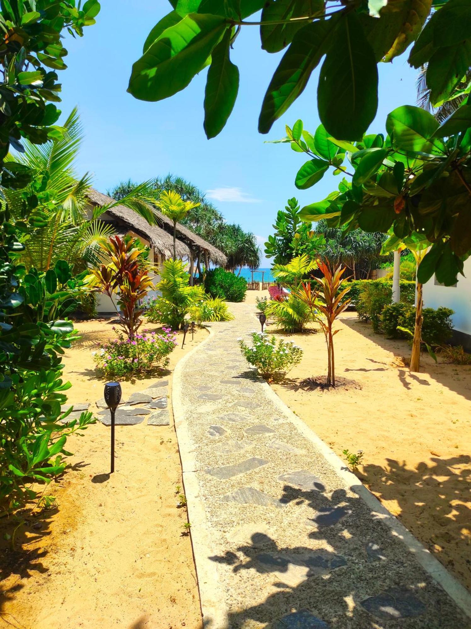 Sleeping Elephant Beach Resort 탕갈레 외부 사진