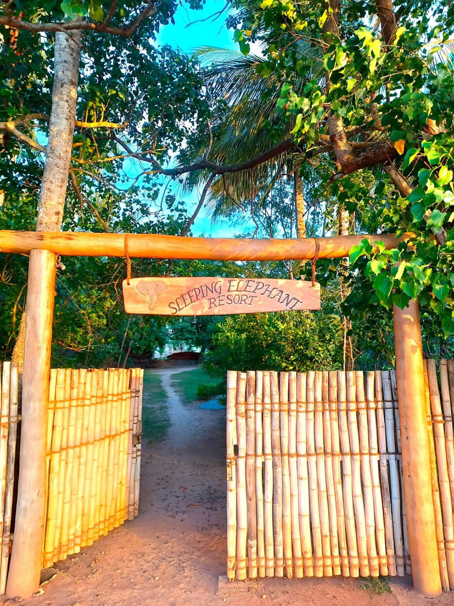 Sleeping Elephant Beach Resort 탕갈레 외부 사진