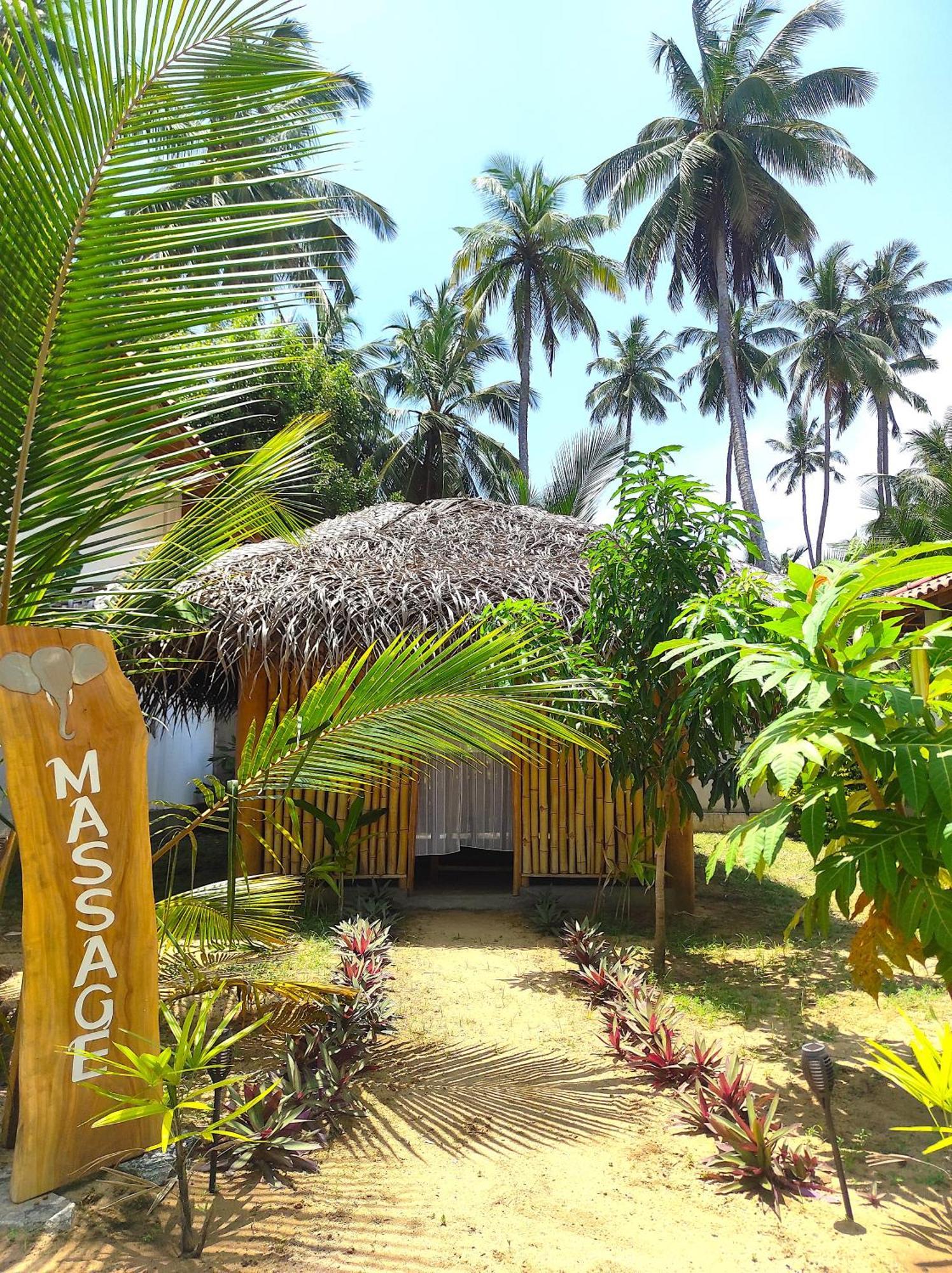 Sleeping Elephant Beach Resort 탕갈레 외부 사진